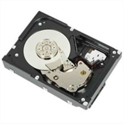 DELL 400-AUUX disco rigido interno 3.5" 4000 GB Serial ATA III
